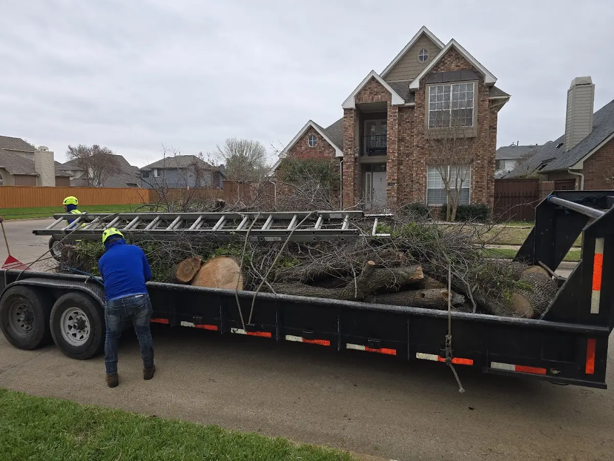 Expert Tree Fertilization with proper safety equipment in Hill City